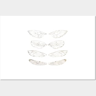 Insect Wings Silver - Butterfly, Moth, Cicada, and Dragonfly Posters and Art